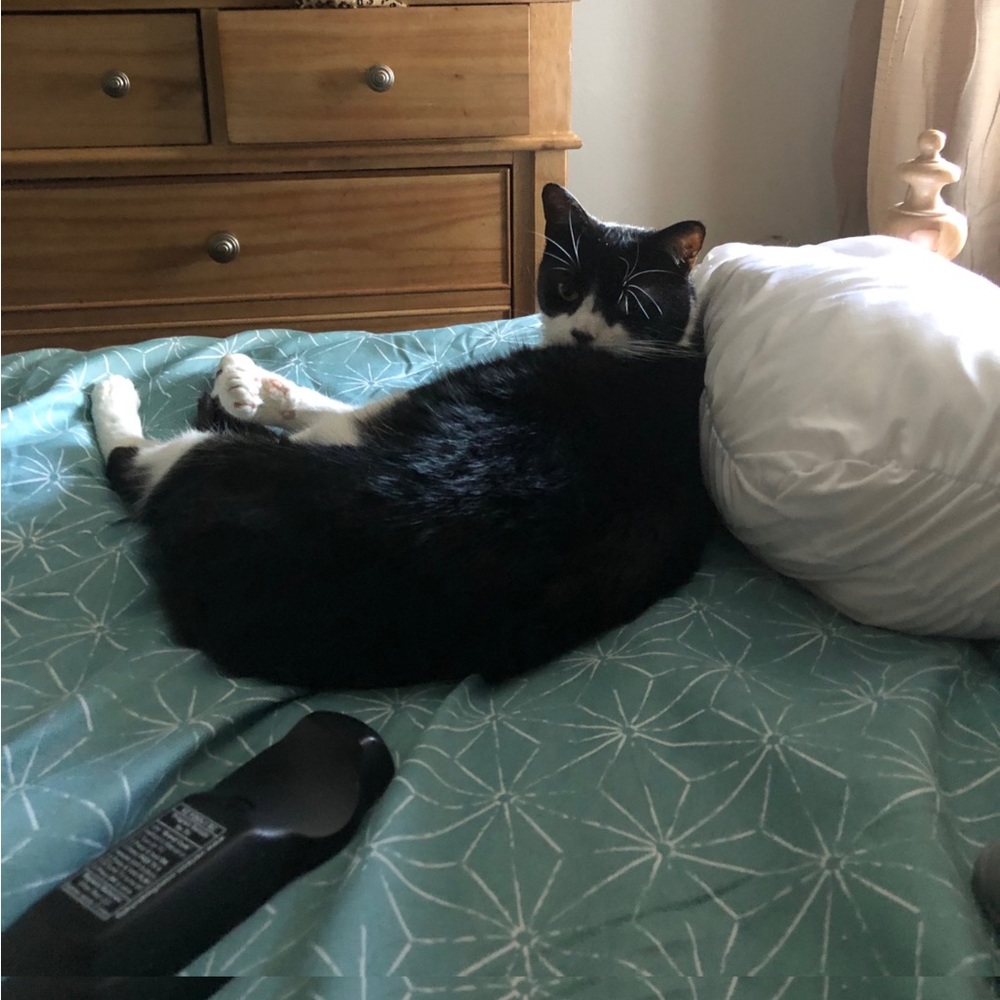 ZORRO SAYS “RELAX”
